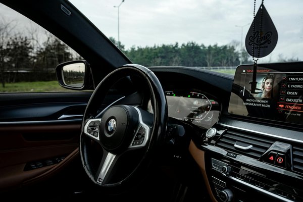 Trasforma il tetto della tua città in un orto urbano biologico: guida pratica e completa per principianti